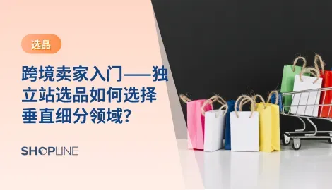 随着跨境电商市场的不断扩大，越来越多的跨境电商卖家开始考虑跨境独立站的建设。在独立站的建设过程中，选品是非常关键的环节。垂直细分领域作为一种跨境电商选品的方法和技巧，越来越受到卖家的青睐。那么，独立站卖家应该如何选择垂直细分领域呢？
