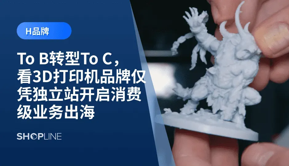 H品牌是一家专注于3D打印机的公司，创始团队具备技术硬实力，海外留学期间深耕技术研发，于2015年回国创业。八年积累，品牌的工业级业务已收获颇丰。在海外市场，极客文化盛行，创客达人或者微缩领域工作室都会购买3D打印机用于模型制作，近几年市场对消费级3D打印机的需求激增。
