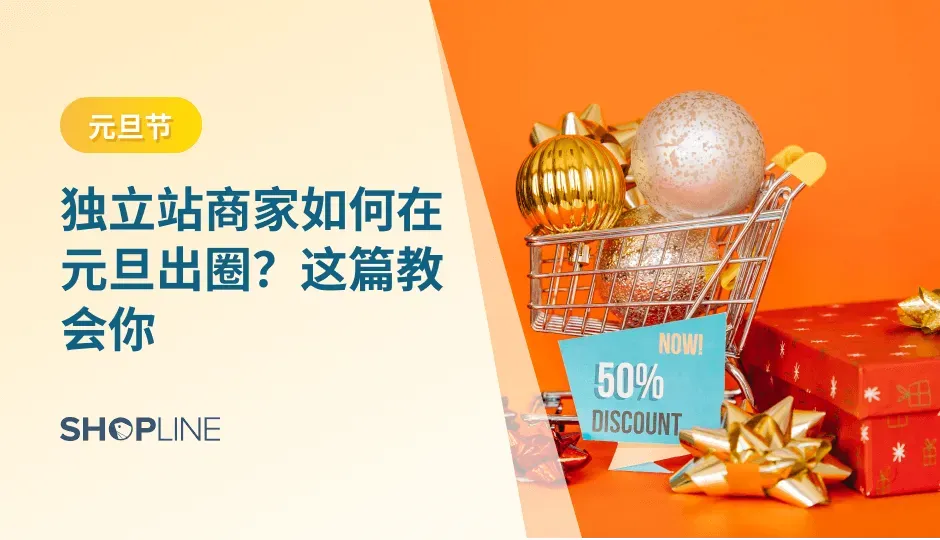 每年的元旦期间，无论是线上还是线下，消费者都会涌入商店，寻找新年的好运和好物。对于跨境电商独立站商家来说，元旦是一个不可忽视的商机。本文将教你如何在这个节日中脱颖而出，实现更多的销售和盈利。