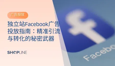 独立站Facebook广告投放攻略，全面解析受众定位、创意制作、预算优化与数据分析，让你的广告花得更值、转化更高。