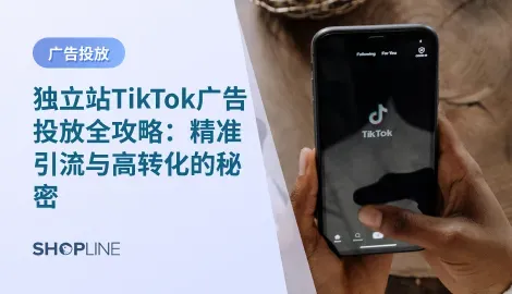 独立站TikTok广告投放，指的是跨境电商卖家通过 TikTok 广告平台，将短视频内容精准推送给潜在客户，引导他们访问你的独立站并完成转化。