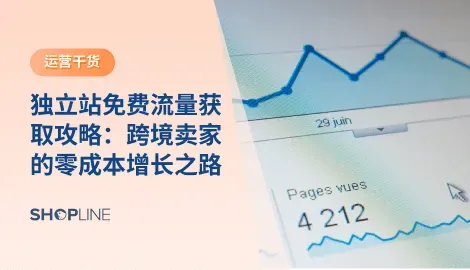 对独立站卖家来说，免费流量与付费流量不是对立的，而是互补关系。前期依靠广告起步，后期通过免费流量降低获客成本，最终形成健康的流量组合。