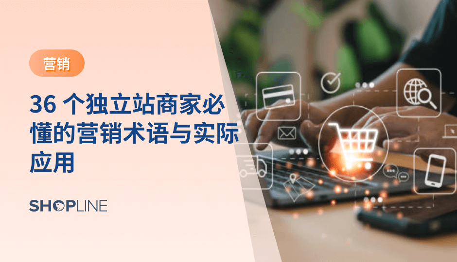 营销术语是独立站商家理解增长逻辑的重要工具。通过掌握流量、转化、用户关系、内容与数据相关的核心概念，商家能够更清晰地判断方向、优化决策，并构建可持续的增长体系。这些术语将为长期经营提供稳定的认知基础。